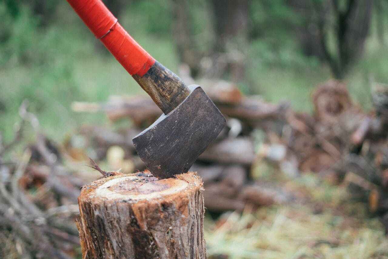 Dead Tree Removal in White Hall, WV